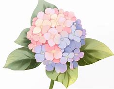 花q安卓版安卓版下载官网-第2张图片-太平洋在线下载