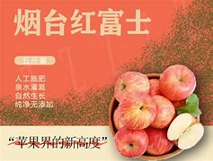 烟台警花版小苹果警花冷婷第1一17章小说-第2张图片-太平洋在线下载