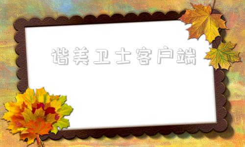 谐美卫士客户端谐美卫士监控软件